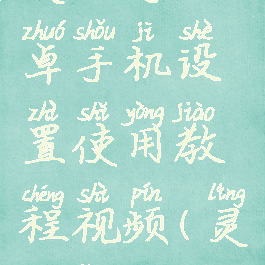 灵动鸟安卓手机设置使用教程视频(灵动灵动)