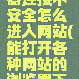 火狐浏览器连接不安全怎么进入网站(能打开各种网站的浏览器下载)