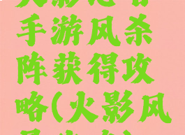 火影忍者手游风杀阵获得攻略(火影风暴攻略)