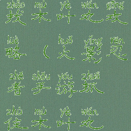 火影手游寻找木叶丸攻略(火影忍者手游抓住木叶丸在哪)