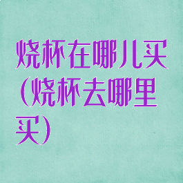 烧杯在哪儿买(烧杯去哪里买)