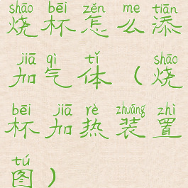 烧杯怎么添加气体(烧杯加热装置图)