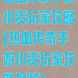 热血传奇手游小资玩家攻略(热血传奇手游小资玩家攻略视频)