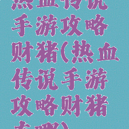 热血传说手游攻略财猪(热血传说手游攻略财猪在哪)