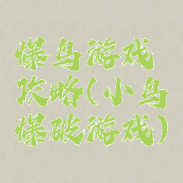 爆鸟游戏攻略(小鸟爆破游戏)