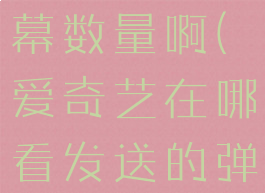 爱奇艺在哪看发送的弹幕数量啊(爱奇艺在哪看发送的弹幕数量啊怎么设置)