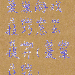 爱巢游戏技巧怎么提升(爱巢技巧)