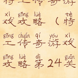 特工传奇游戏攻略(特工传奇游戏攻略第24关)