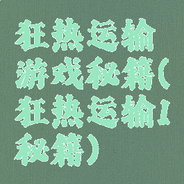 狂热运输游戏秘籍(狂热运输1秘籍)