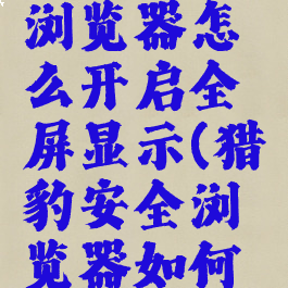 猎豹安全浏览器怎么开启全屏显示(猎豹安全浏览器如何缩小页面)