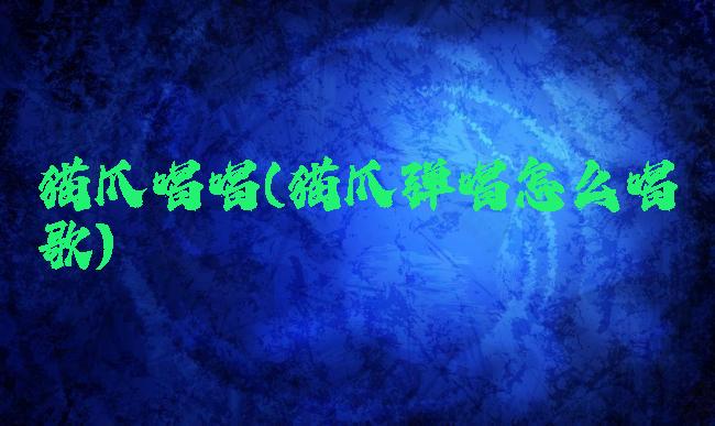 猫爪唱唱(猫爪弹唱怎么唱歌)