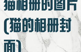 猫相册的图片(猫的相册封面)