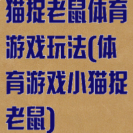 猫捉老鼠体育游戏玩法(体育游戏小猫捉老鼠)