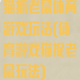 猫抓老鼠体育游戏玩法(体育游戏猫捉老鼠玩法)