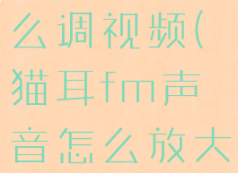猫耳fm怎么调视频(猫耳fm声音怎么放大)