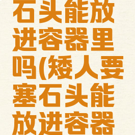 矮人要塞石头能放进容器里吗(矮人要塞石头能放进容器里吗视频)