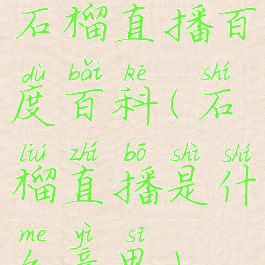 石榴直播百度百科(石榴直播是什么意思)