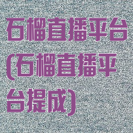 石榴直播平台(石榴直播平台提成)