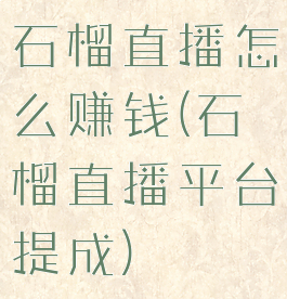 石榴直播怎么赚钱(石榴直播平台提成)