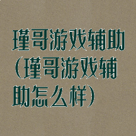瑾哥游戏辅助(瑾哥游戏辅助怎么样)