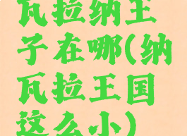 瓦拉纳王子在哪(纳瓦拉王国这么小)