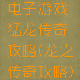 电子游戏猛龙传奇攻略(龙之传奇攻略)