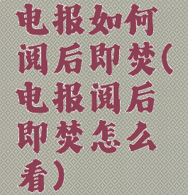 电报如何阅后即焚(电报阅后即焚怎么看)