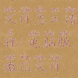 电脑版微信文件怎么清理(电脑版微信文件如何清理)