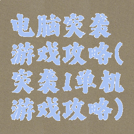 电脑突袭游戏攻略(突袭1单机游戏攻略)