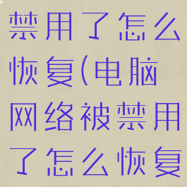 电脑网络被禁用了怎么恢复(电脑网络被禁用了怎么恢复回来)