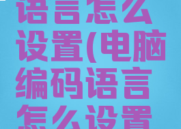 电脑编码语言怎么设置(电脑编码语言怎么设置出来)