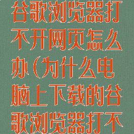 电脑上下载的谷歌浏览器打不开网页怎么办(为什么电脑上下载的谷歌浏览器打不开网页)