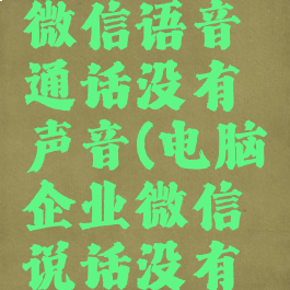 电脑企业微信语音通话没有声音(电脑企业微信说话没有声音)