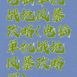 电脑单机战地风暴攻略(电脑单机战地风暴攻略图)