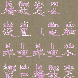 电脑哔哩哔哩小窗口播放怎么设置(电脑哔哩哔哩小窗口播放怎么设置视频)