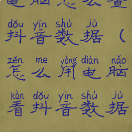 电脑怎么查抖音数据(怎么用电脑看抖音数据)