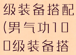 男气功100级装备搭配(男气功100级装备搭配图)