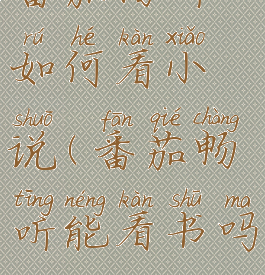 番茄畅听如何看小说(番茄畅听能看书吗)