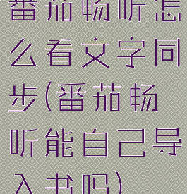 番茄畅听怎么看文字同步(番茄畅听能自己导入书吗)