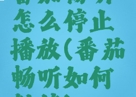 番茄畅听怎么停止播放(番茄畅听如何暂停)