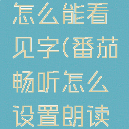 番茄畅听怎么能看见字(番茄畅听怎么设置朗读声音)