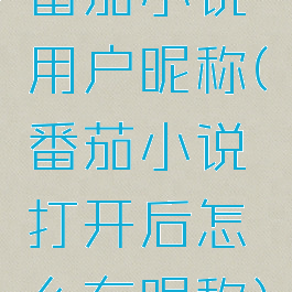 番茄小说用户昵称(番茄小说打开后怎么有昵称)