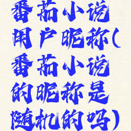 番茄小说用户昵称(番茄小说的昵称是随机的吗)