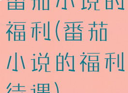 番茄小说的福利(番茄小说的福利待遇)