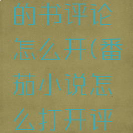 番茄小说的书评论怎么开(番茄小说怎么打开评论展示)