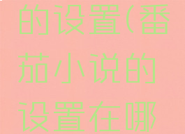 番茄小说的设置(番茄小说的设置在哪里)