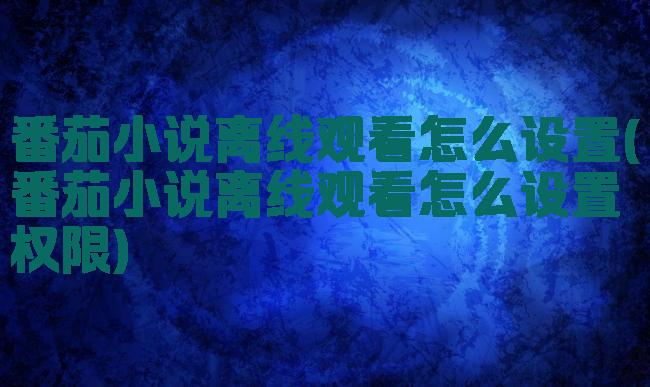 番茄小说离线观看怎么设置(番茄小说离线观看怎么设置权限)