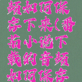 番茄小说下载的音频如何保存下来(番茄小说下载的音频如何保存下来到手机)