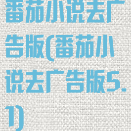 番茄小说去广告版(番茄小说去广告版5.1)