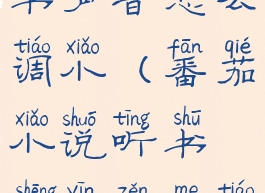 番茄小说听书声音怎么调小(番茄小说听书声音怎么调大)